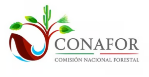 conocatorias de conafor